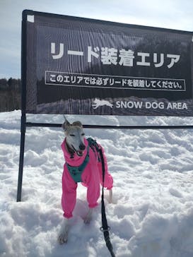 黒姫高原スノーパーク・KUROHIME GREEN GARDENに投稿された画像（2025/3/2）