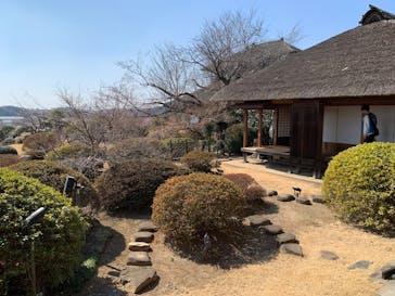 偕楽園本園に投稿された画像（2025/3/2）