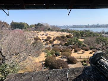 偕楽園本園に投稿された画像（2025/3/2）