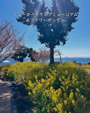 ニューヨークランプミュージアム＆フラワーガーデンに投稿された画像（2025/3/2）