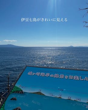 ニューヨークランプミュージアム＆フラワーガーデンに投稿された画像（2025/3/2）