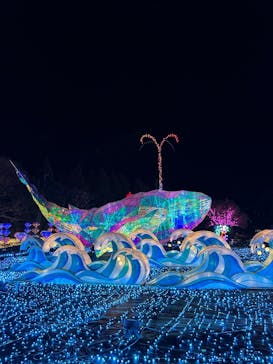 伊豆高原グランイルミに投稿された画像（2025/3/2）