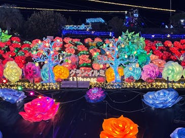 伊豆高原グランイルミに投稿された画像（2025/3/2）