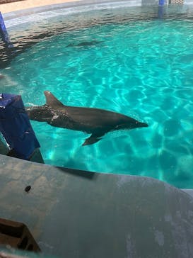 マリンワールド海の中道に投稿された画像（2025/3/2）