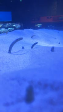 マリンワールド海の中道に投稿された画像（2025/3/2）