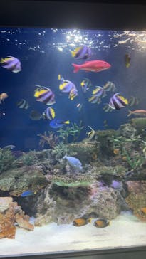 マリンワールド海の中道に投稿された画像（2025/3/2）