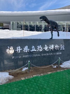 福井県立恐竜博物館に投稿された画像（2025/3/2）