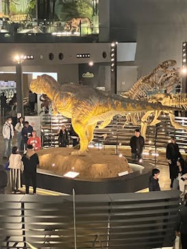 福井県立恐竜博物館に投稿された画像（2025/3/2）