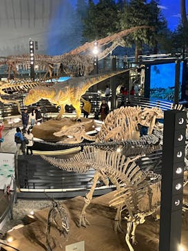 福井県立恐竜博物館に投稿された画像（2025/3/2）
