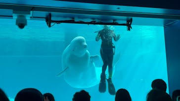 横浜・八景島シーパラダイスに投稿された画像（2025/3/2）