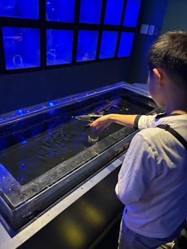 横浜・八景島シーパラダイスに投稿された画像（2025/3/2）