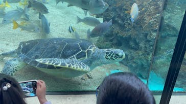 横浜・八景島シーパラダイスに投稿された画像（2025/3/2）