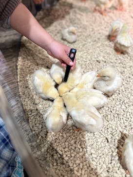 Moff animal cafe イオンモール新利府店に投稿された画像（2025/3/2）