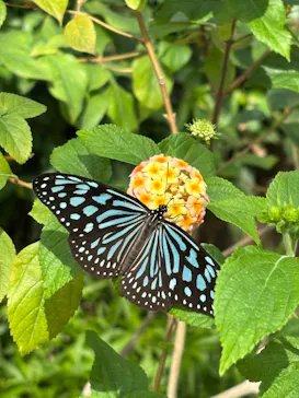 多摩動物公園に投稿された画像（2025/3/2）
