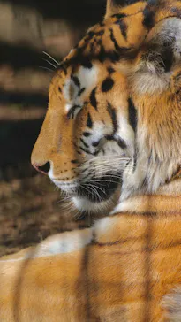 多摩動物公園に投稿された画像（2025/3/2）