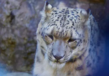 多摩動物公園に投稿された画像（2025/3/2）