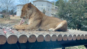 東京動物園協会_多摩動物公園に投稿された画像（2025/3/2）