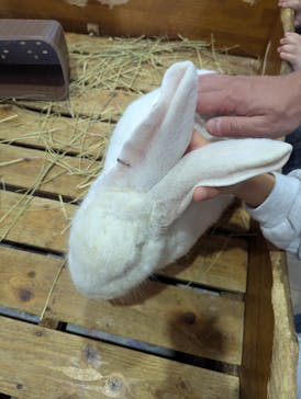 マザー牧場に投稿された画像（2025/3/2）