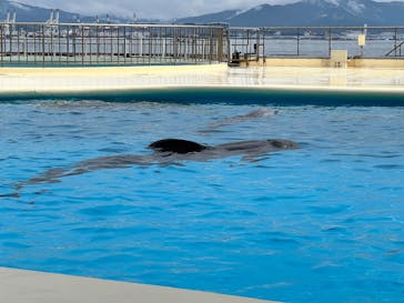 マリンワールド海の中道に投稿された画像（2025/3/2）
