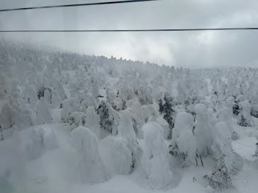 蔵王ロープウェイに投稿された画像（2025/3/2）