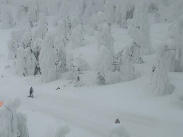 蔵王ロープウェイに投稿された画像（2025/3/2）