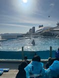 鴨川シーワールドに投稿された画像（2025/3/2）