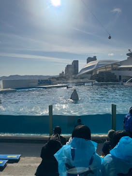 鴨川シーワールドに投稿された画像（2025/3/2）