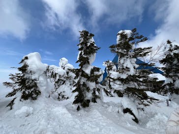 蔵王ロープウェイに投稿された画像（2025/3/2）