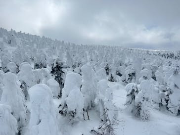 蔵王ロープウェイに投稿された画像（2025/3/2）