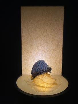 金曜ロードショーとジブリ展　三重展に投稿された画像（2025/3/2）