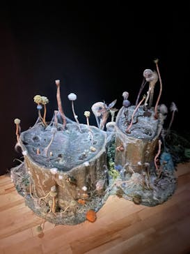 金曜ロードショーとジブリ展　三重展に投稿された画像（2025/3/2）