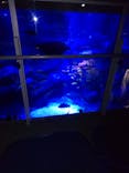 すみだ水族館に投稿された画像（2025/3/2）