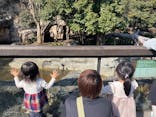 恩賜上野動物園に投稿された画像（2025/3/2）