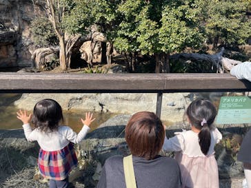恩賜上野動物園に投稿された画像（2025/3/2）