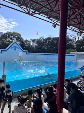 しながわ水族館に投稿された画像（2025/3/2）