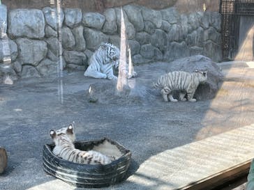 東武動物公園に投稿された画像（2025/3/2）