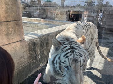 東武動物公園に投稿された画像（2025/3/2）