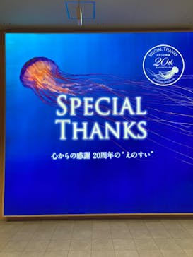 新江ノ島水族館に投稿された画像（2025/3/2）