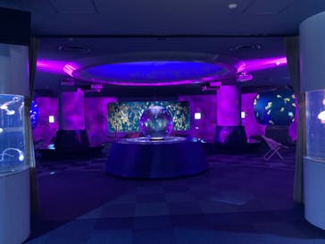 新江ノ島水族館に投稿された画像（2025/3/2）