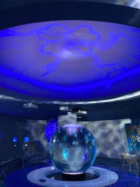 新江ノ島水族館に投稿された画像（2025/3/2）