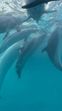 太地町立くじらの博物館に投稿された画像（2025/3/2）