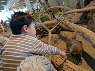 霞ケ浦 どうぶつとみんなのいえに投稿された画像（2025/3/2）