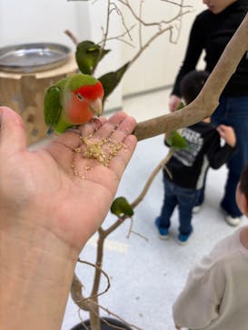 いきもの探検隊に投稿された画像（2025/3/2）