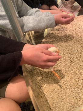 Moff animal cafe イオンモール幕張新都心店に投稿された画像（2025/3/2）