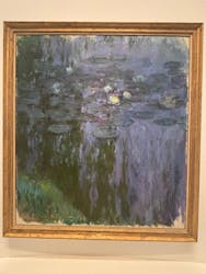 モネ 睡蓮のとき（国立西洋美術館）に投稿された画像（2025/3/2）