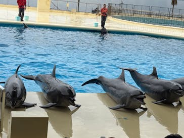 マリンワールド海の中道に投稿された画像（2025/3/2）