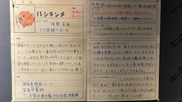 竹島水族館に投稿された画像（2025/3/2）