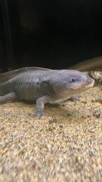 竹島水族館に投稿された画像（2025/3/2）