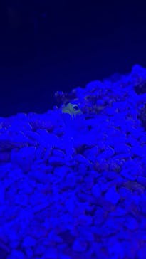 竹島水族館に投稿された画像（2025/3/2）