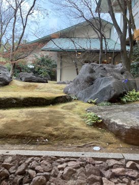 ナガシマスパーランドに投稿された画像（2025/3/2）